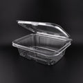 24oz Anti-fog Hinged Tamper Evident Container 797582 200/cs – Clear Hinged Clamshell To-Go Boxes – Sun Packaging