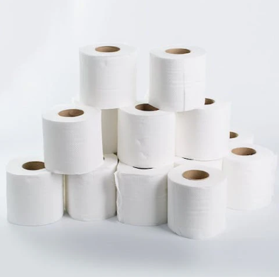 2ply Luxury House Toilet Tissue 500x48rolls/cs – Napkins & Towels – Sun Packaging