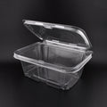 32oz Anti-fog Hinged Tamper Evident Container 797486 200/cs – Clear Hinged Clamshell To-Go Boxes – Sun Packaging