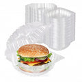 Anti-fog Clear Hinged PET Container 6x6x3" 300/cs – Clear Hinged Clamshell To-Go Boxes – Sun Packaging